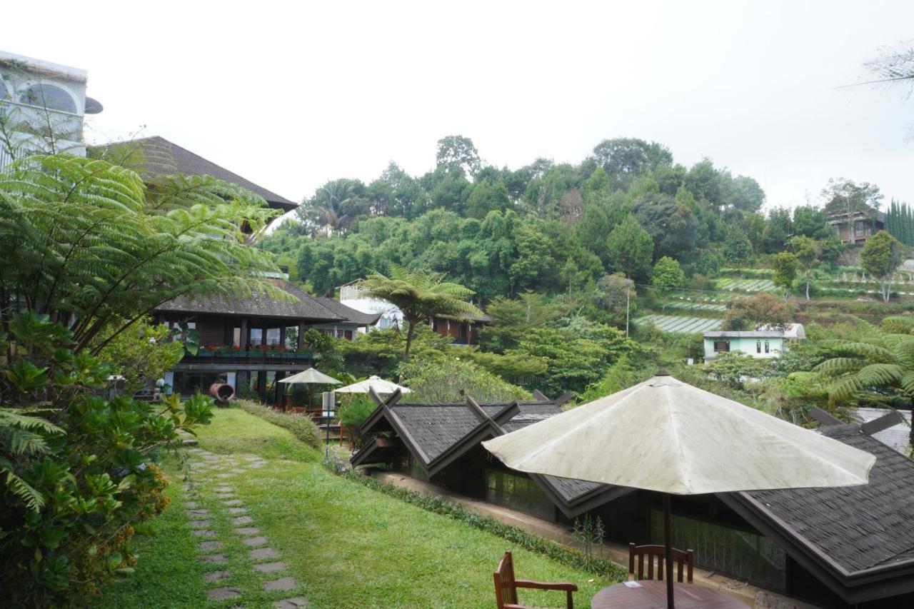 草莓之家有机农场和家庭小屋假日公园 伦邦 外观 照片