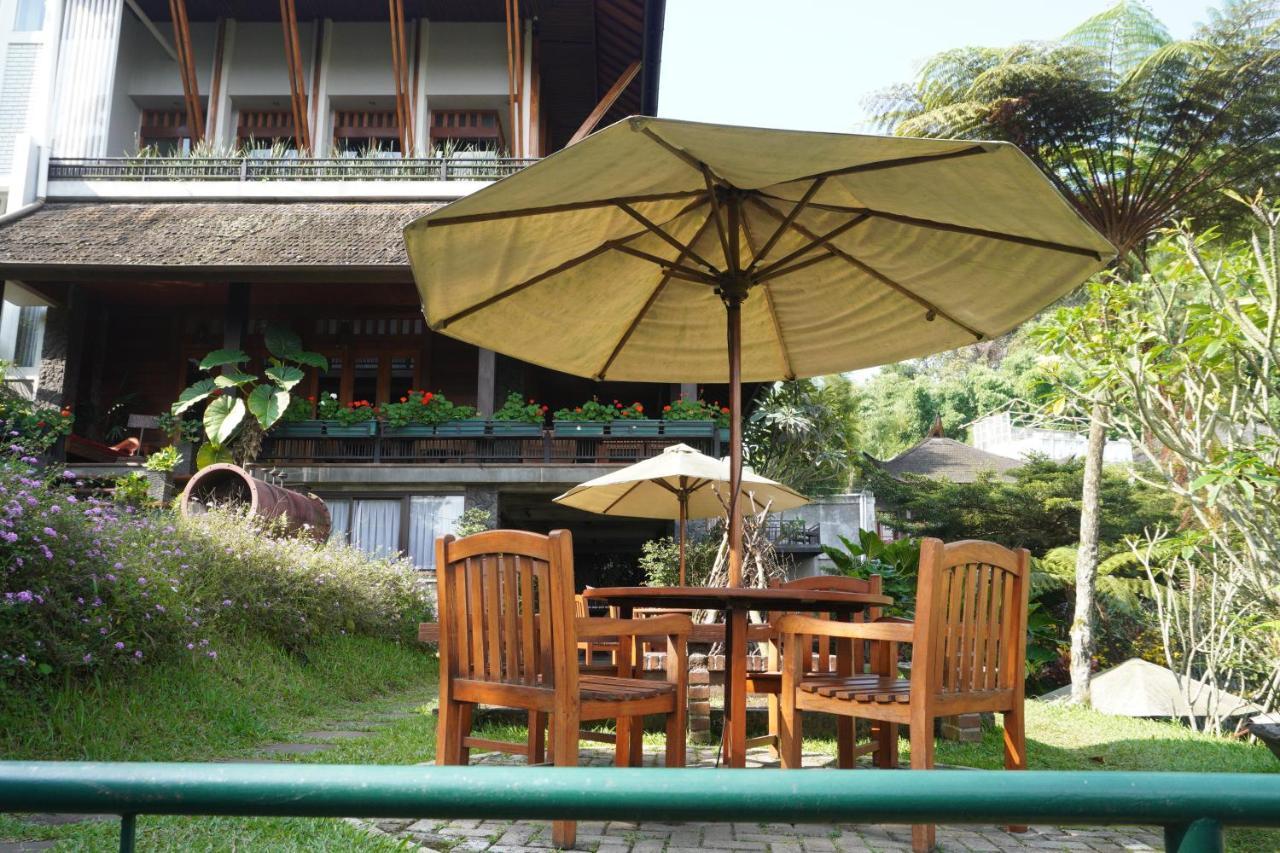 草莓之家有机农场和家庭小屋假日公园 伦邦 外观 照片