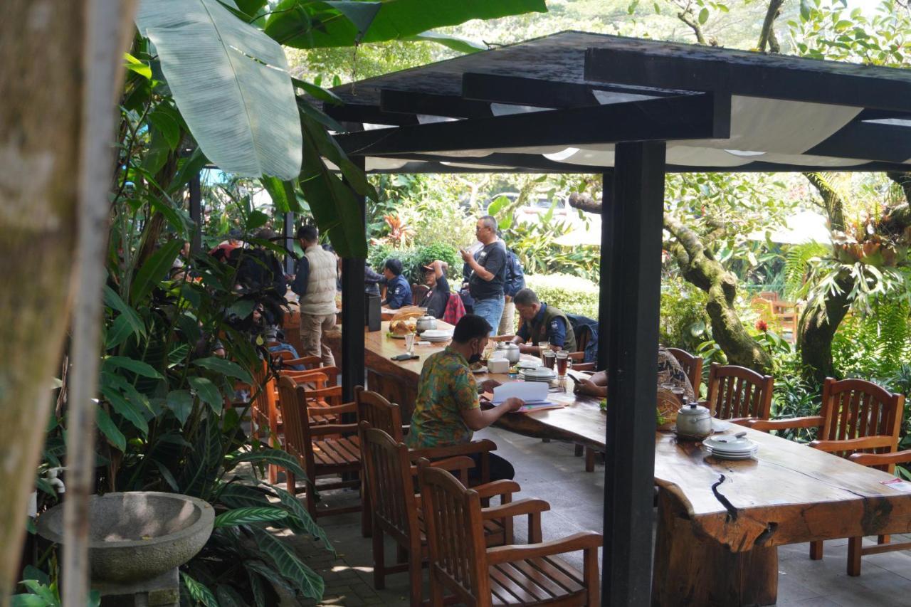 草莓之家有机农场和家庭小屋假日公园 伦邦 外观 照片