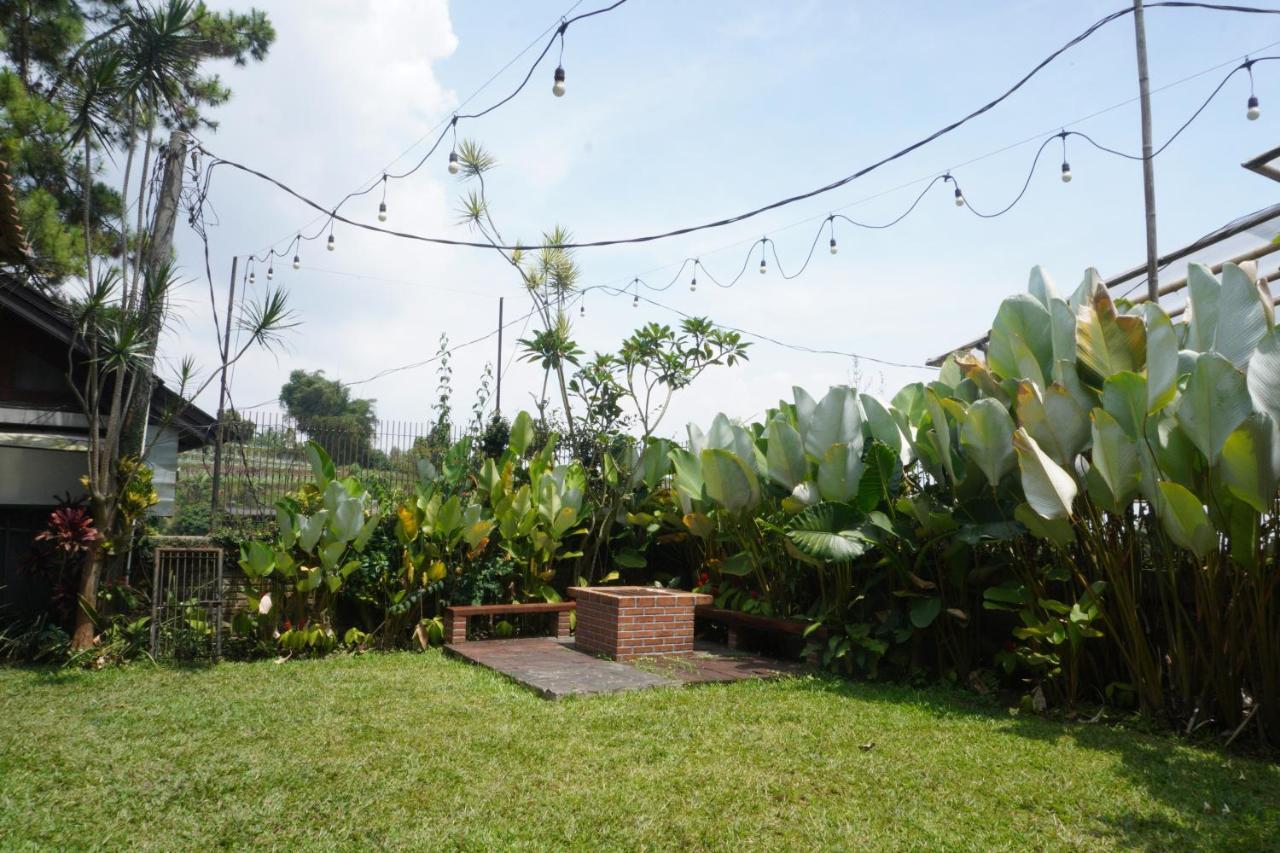 草莓之家有机农场和家庭小屋假日公园 伦邦 外观 照片