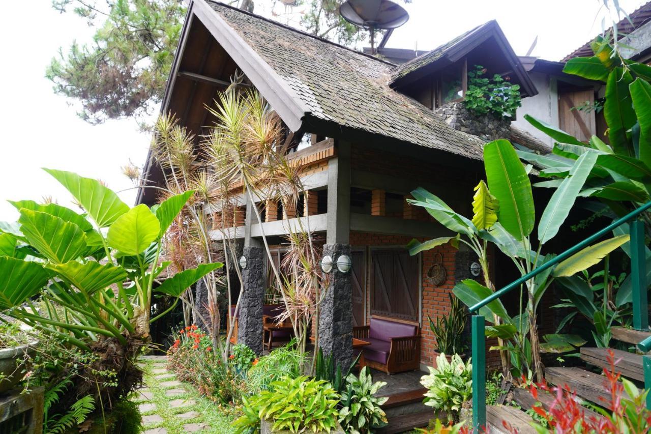 草莓之家有机农场和家庭小屋假日公园 伦邦 外观 照片