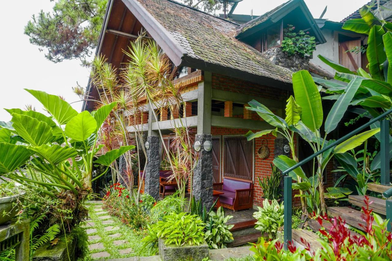 草莓之家有机农场和家庭小屋假日公园 伦邦 外观 照片